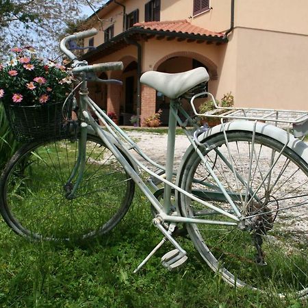 Agriturismo Diciocco Venturina Terme Zewnętrze zdjęcie