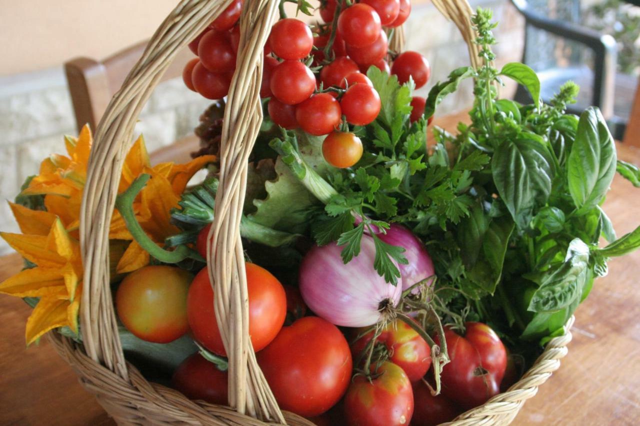 Agriturismo Diciocco Venturina Terme Zewnętrze zdjęcie