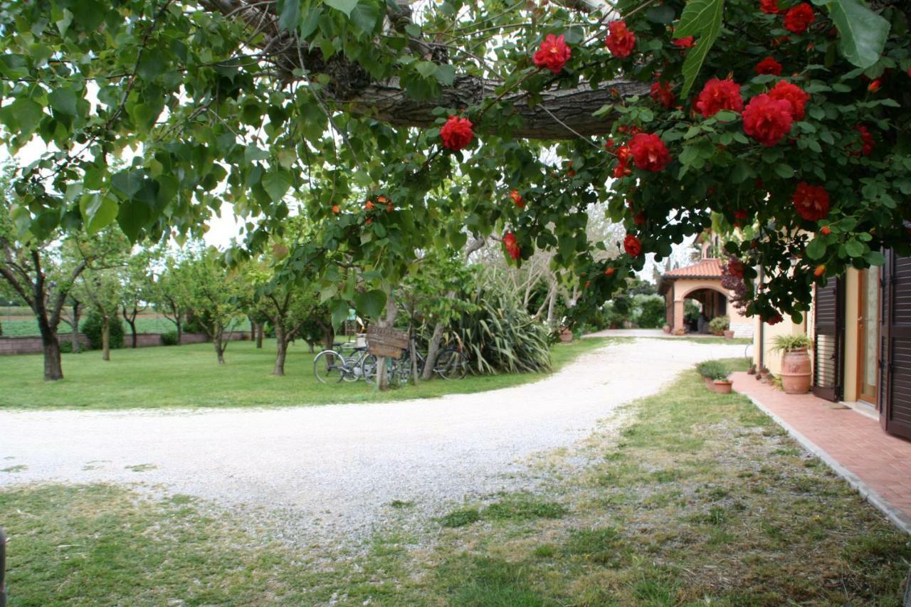 Agriturismo Diciocco Venturina Terme Zewnętrze zdjęcie